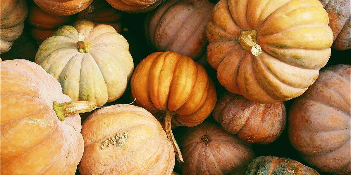 Cibi autunnali e tradizione emiliana: zucca, castagne e i frutti dimenticati